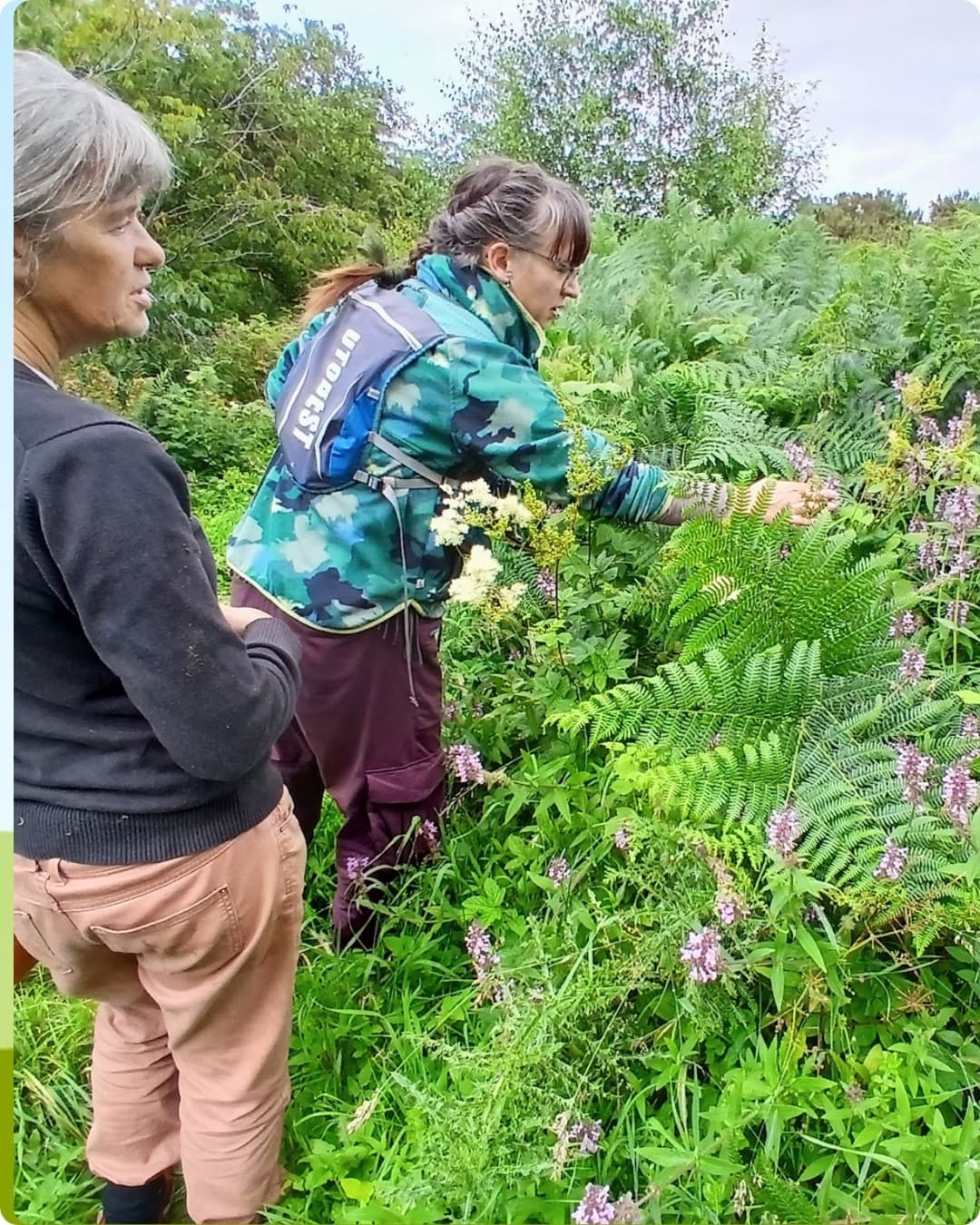 Volunteers exploring plants and fungi in a green habitat