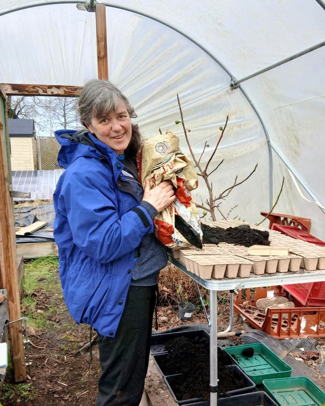 Volunteer preparing growing trays in a polytunnel
